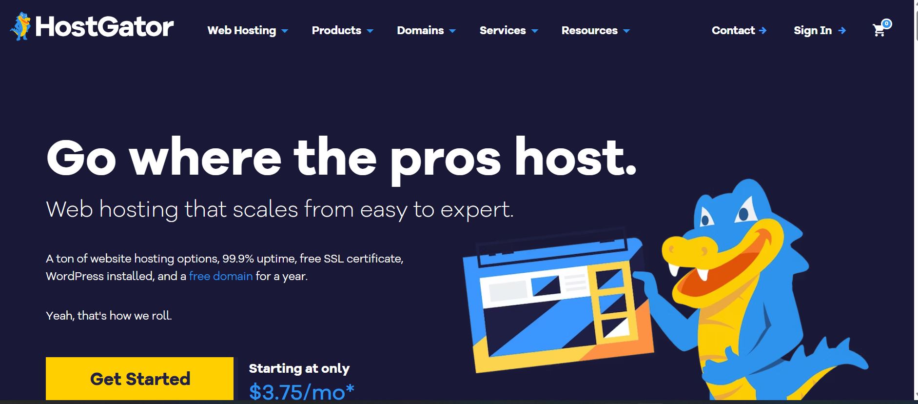 HostGator Review